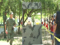 Ejercito Mexicano abre las puertas de sus instalaciones para paseo dominical