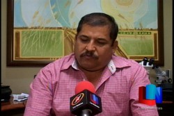 Retiran 2 mil árboles en Empalme