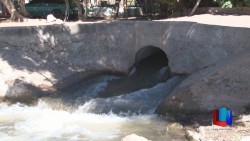 Semestre difícil para el Distrito de Riego del Río Yaqui