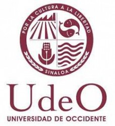Concretan exitosamente estancias ejecutivas profesionistas de la U de O.