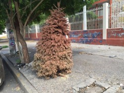 Les pasa de noche, la "Noche Buena"
