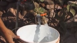 Sin problemas en la distribución del agua dice JAPAC