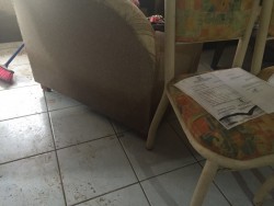 Ubica y lleva apoyo DIF Municipal a familias afectadas por lluvias