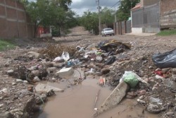 Así está la calle López Portillo en la colonia  Ampliación CNOP