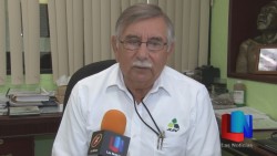 Benéfica la lluvia para cultivo de soya