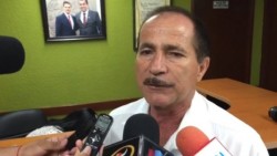 Controlada la plaga del pulgón amarillo en sorgos de temporal