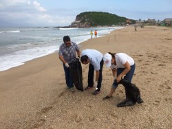 Autoridades de Turismo y funcionarios municipales, limpian playas brujas.