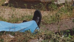 Dinero fácil y vida de lujos  lleva a la mujer sinaloense a la  delincuencia organizada y el narco:  Especialista