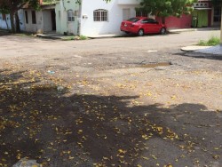 Calles Yavaros en pésimas condiciones