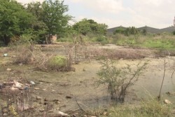 Lote baldío les genera inundaciones en el Palmito Viejo