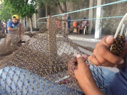 Rederos preparan las artes de pesca