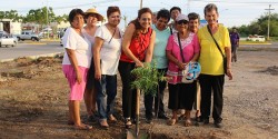 Adultos mayores apoyan el cuidado del medio ambiente.