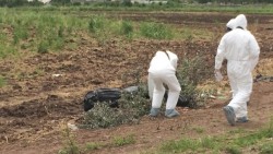 Encuentran a dos personas embolsados en Las Brisas