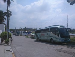 Llegan camiones charteros llenos a Mazatlán