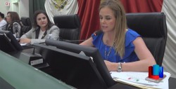 Diputada iniciativa joven.
