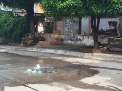 Brotan aguas negras en Ignacio Allende y Lombardo Toledano