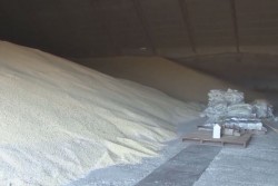Plantea CAADES sistema ágil para el pago de  apoyos pendientes