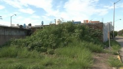 Terrenos enmontados a la orden del día