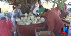Continúa FIRA con financiamientos en Sonora