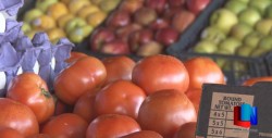 Sin variación precio de verdura