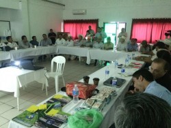 Inicia la siembra de Cebolla Blanca en la zona sur de Sinaloa