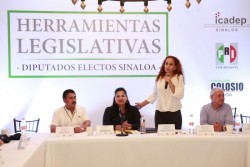 Irma Tirado será la próxima  Coordinadora de los Diputados del PRI