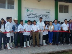 Inician obra en CBTA 38