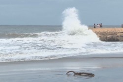 Gobierno de Sinaloa apoya a familia de pescadores fallecidos