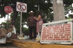 Remedios alternativos, salud ancestral