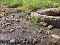 Fuga de aguas negras en El Limón de los Ramos