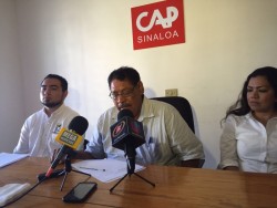 Solicita el CAP incentivar cultivos de arroz, soya y algodón