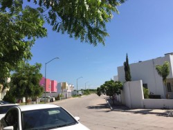 Sin servicios públicos en Carlos V