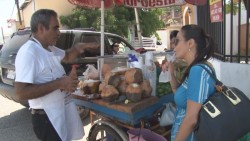 El coco tiene propiedades que benefician al organismo