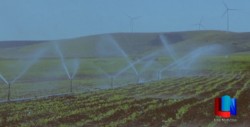 Productores agrícolas preocupados por el recorte