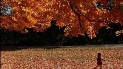 Inicia el otoño en México