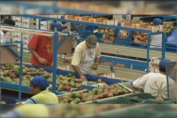 Sinaloa en el quinto lugar para hacer negocios