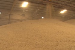 Arranca planeación agricola sin tener garantizados incentivos a la reconversión