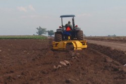 Amplian plazo para acreditar y comprobar gastos del Procampo