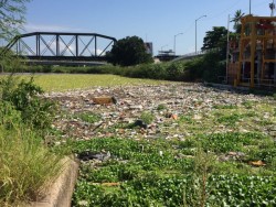 Otra vez la presa derivadora está llena de basura