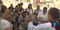 Dan bendición a las mascotas