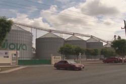 Falta de voluntad por parte de SAGARPA, para avalar crédito para maiceros