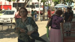 Urge reformas a la Ley para Prevenir y Atender la Violencia Familiar
