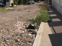 Otra vez la calle Sauce incrementa su mal estado