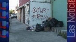 Desde hace 15 días no recogen la basura