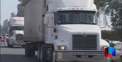 Se abstienen de ir a estados del centro