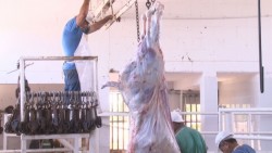 En riesgo corrales de engorda si incumplen en programas de sanidad