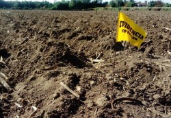 Encuentran restos humanos en tierras de siembra