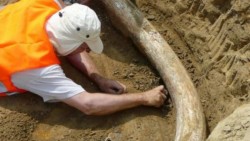 Disminuye la producción industrial del país
