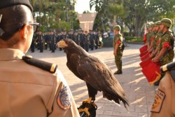 Celebran Aniversario del Descubrimiento de América