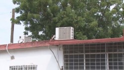 En proceso de instalación 230 subestaciones: SEPyC